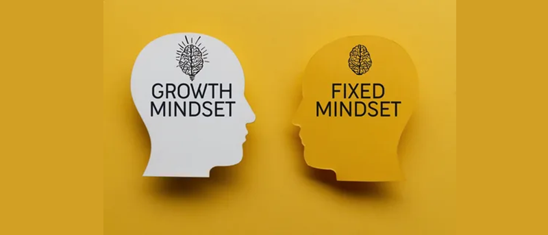 Growth Mindset vs Fixed Mindset: The Complete Guide