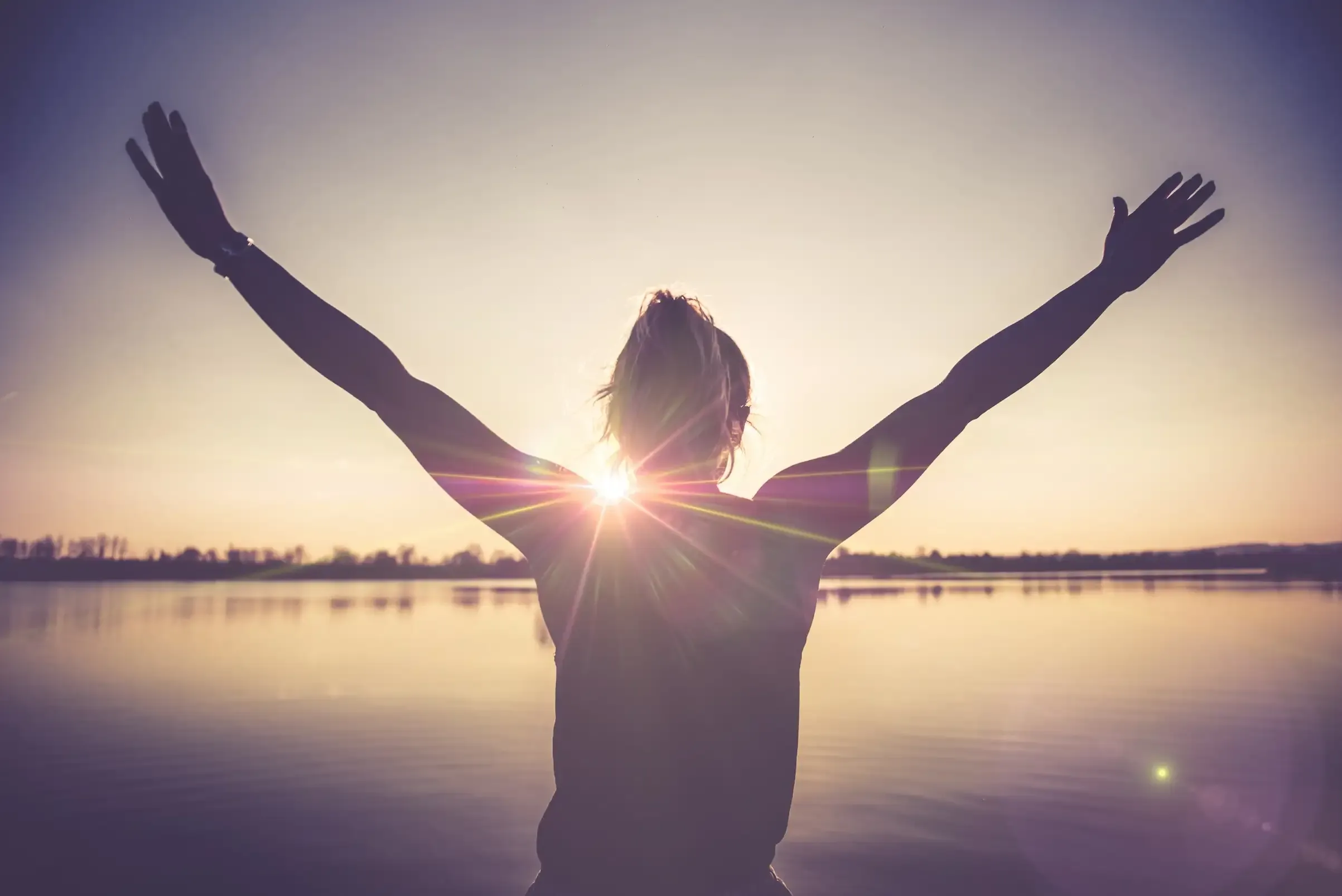 Success Odyssey Hub - Personal Development and Productivity