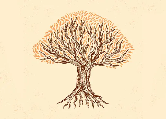 The Philosophy of Success